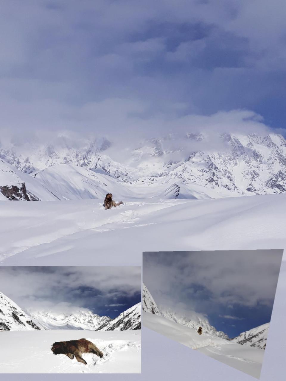 Hotel Maxvshi Ušguli Exteriér fotografie